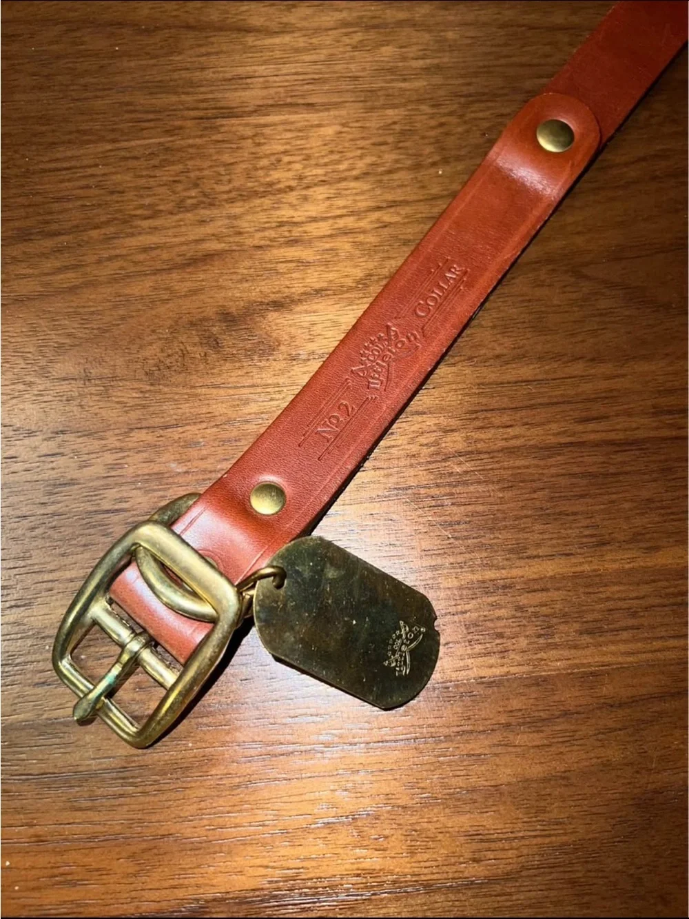 Leather & Brass Collar